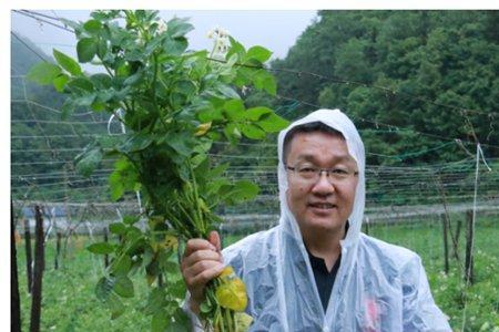 小农思维是什么意思