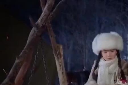 林海雪原中小白鸽职业好吗