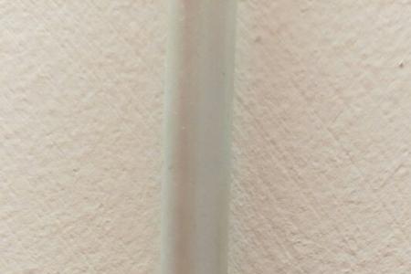 小米壳生的什么虫