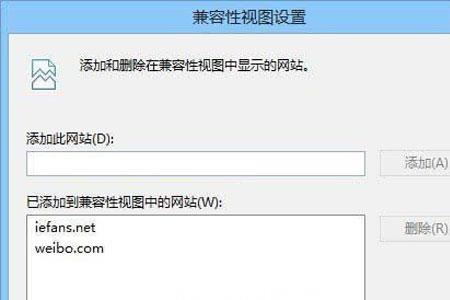 win11系统电脑不能播放swf文件