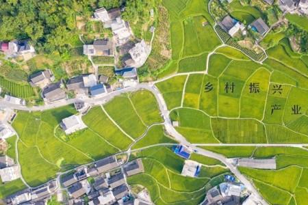 为什么要产业振兴