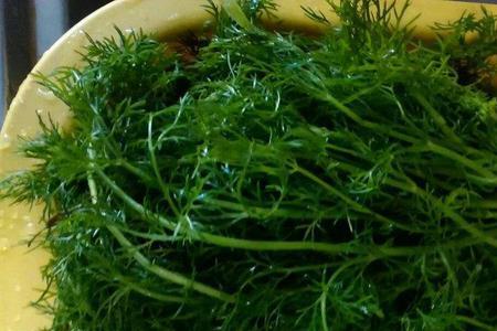 茴香什么时候吃最好