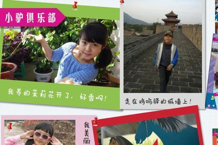天天爱科学和新课程教学哪个好