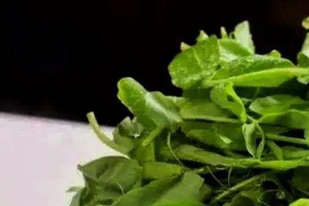 豌豆尖开花能吃吗