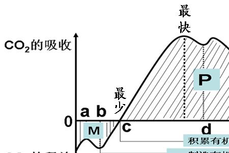 什么是异化作用有哪些类型