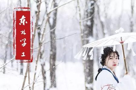 雪花一片为红颜什么歌曲