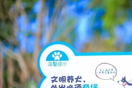 大观公园可以带宠物进去吗
