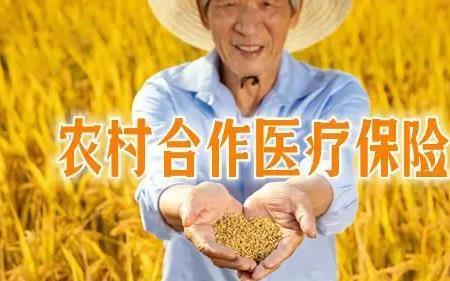 2022新农合疝气报销