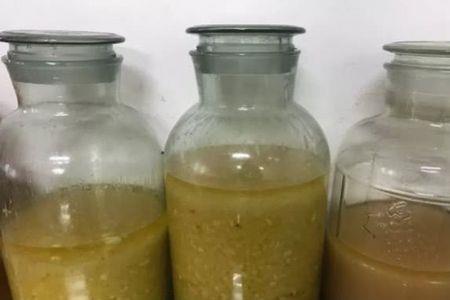 酿酒中葡萄糖是被氧化还是还原