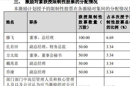 财务总监在上市前应占多少股份