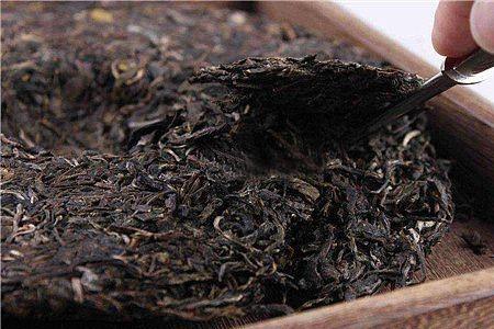 500一斤的普洱茶好吗