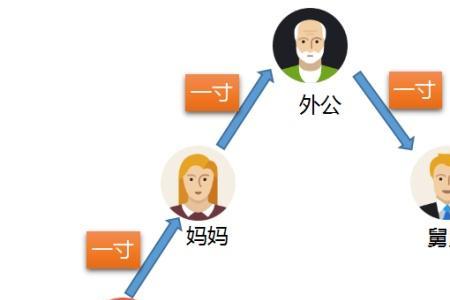 表哥的孩子称呼