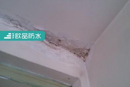 屋顶漏水可以从里往外补吗