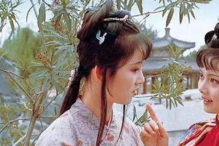 内侄女是什么意思