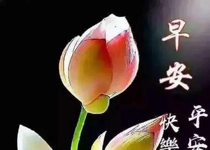 相知从不忘早安祝福语