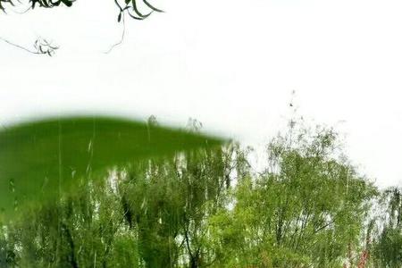 就在那个春天原唱