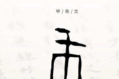 什么是字