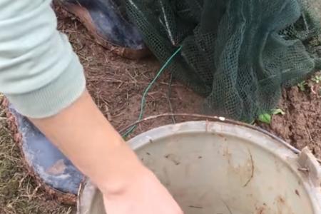 下地笼尾巴放里面还是放边上