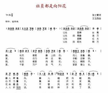 类似向阳花的歌曲