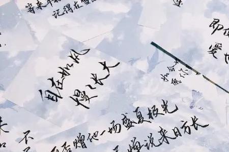 世俗的爱博君一肖语录