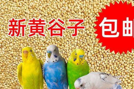 虎皮鹦鹉雏鸟饲料配方