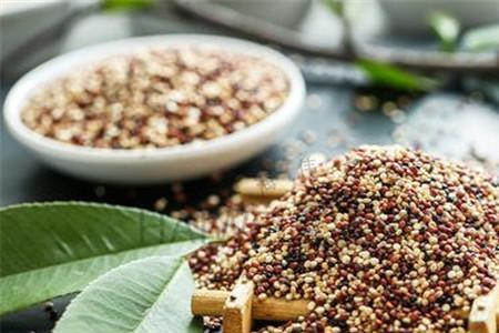 藜麦和小麦胚芽区别