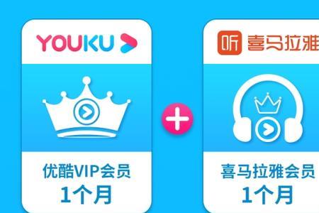 小小优酷会员和优酷会员一样吗