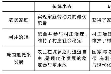 主体产业类型