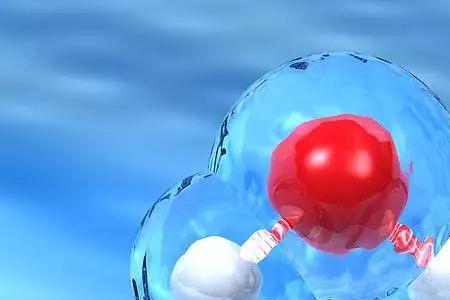 用什么做水分子氧分子模型最好