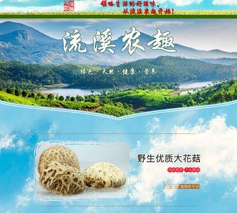 淘宝农产品属于什么类目