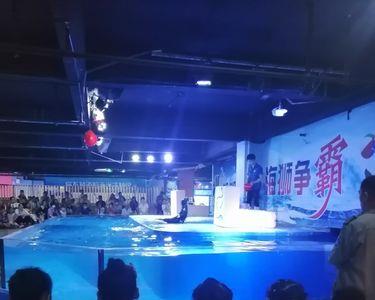 邯郸海洋馆几点开门