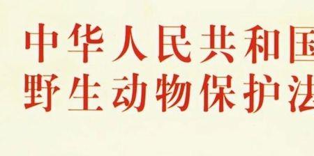 防疫法实施条例全文