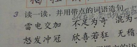 用5个表示喜好的词造句
