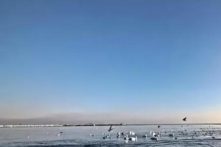 黑海深处为什么没有生物生存