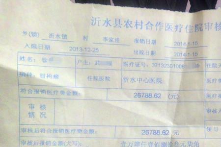 可善挺用新农合能报销多少