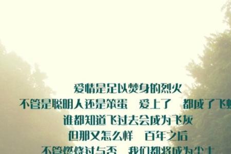 一个人感慨逝去的青春怎么回复