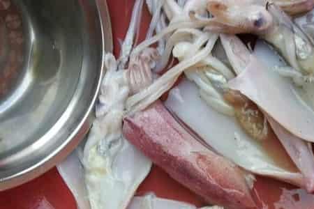 鱿鱼须煮熟还是透明的怎么回事
