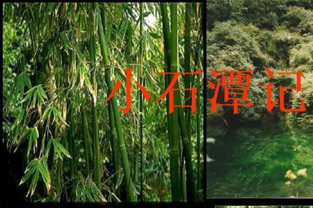 小石潭记恕己奉壹的意思