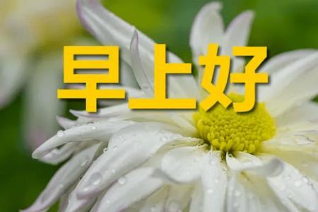 六月早上好诗句