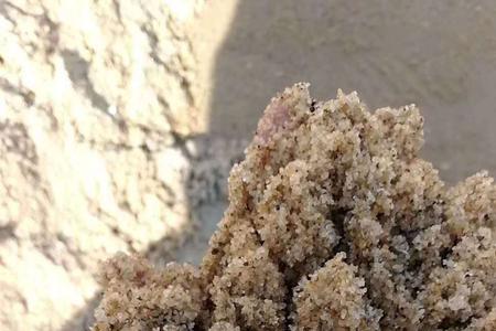 石头沙和水洗沙哪个好