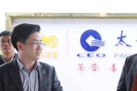 太平洋建设旗下上市公司