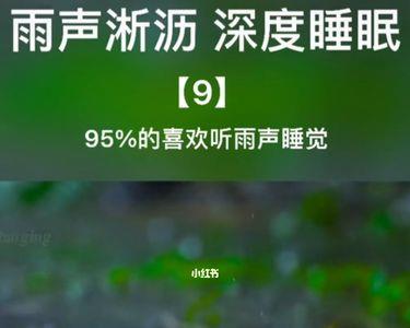 雨声阵阵的歌曲