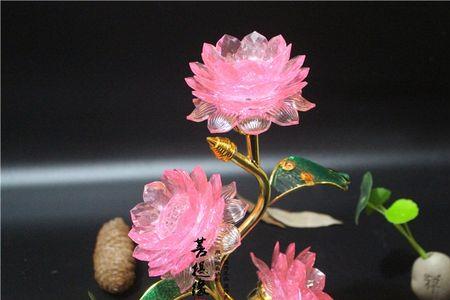 三朵荷花代表什么意思