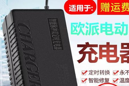 电动充电器绿灯亮不充电