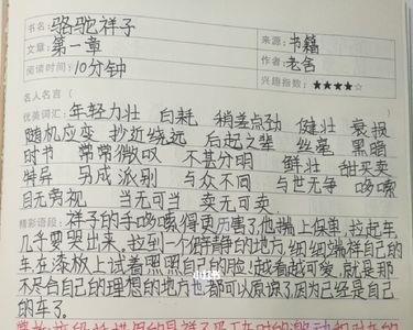 骆驼祥子第一章中心思想