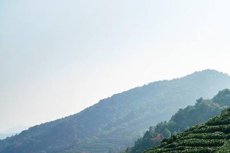 杭州龙井寺和龙井山园要门票吗