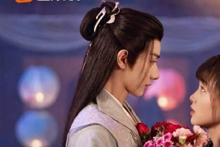 元宝芸芸是什么电视剧