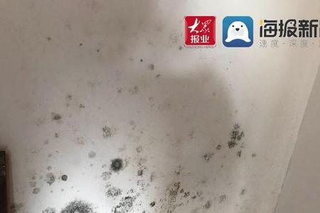 厨房墙体渗水发霉怎么处理