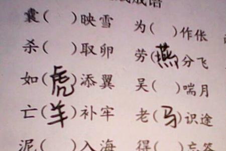 不b不c式的成语有什么