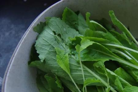沙土种小白菜正确方法